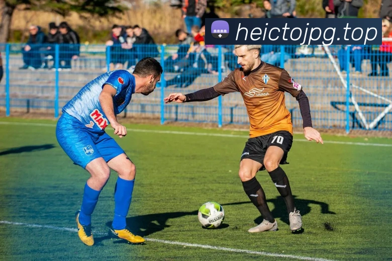 pg官网服务体系